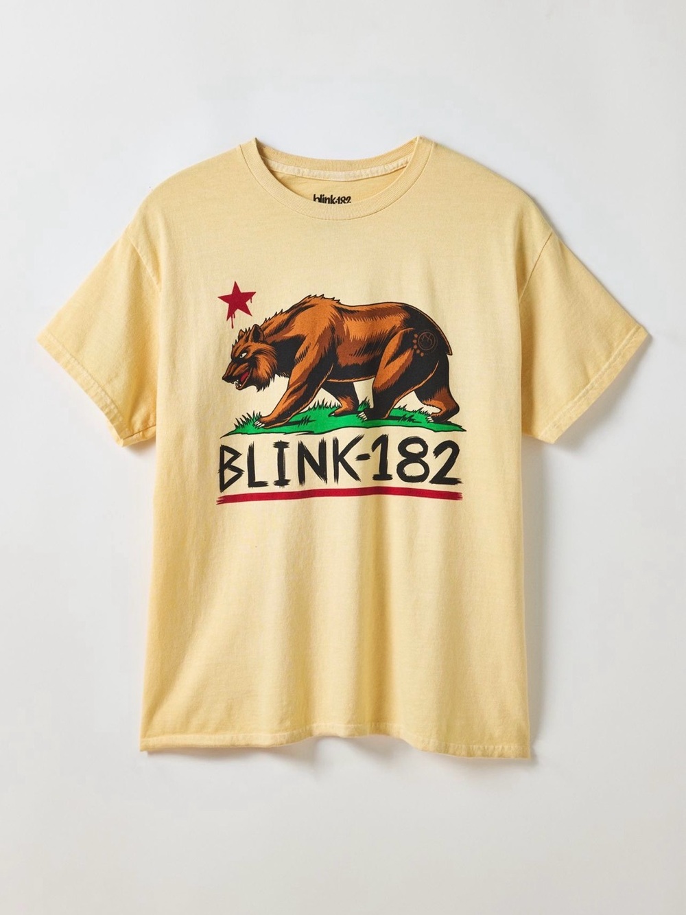 Urban Outfitters Blink 182 Bear Graphic Tee